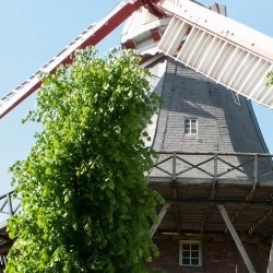 Geschenkssets Deutschland aus dem Ammerland