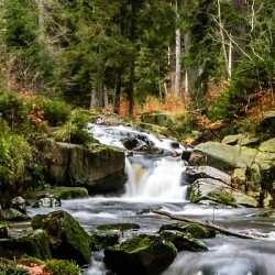 Geschenkssets Deutschland aus dem Harz