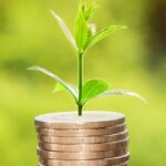Steigern Sie die Sichtbarkeit Ihres Onlineshops